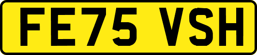 FE75VSH