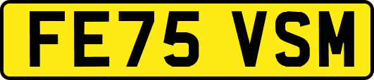 FE75VSM