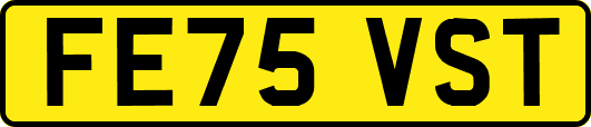 FE75VST