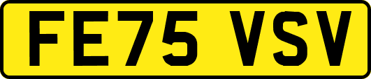 FE75VSV
