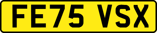 FE75VSX