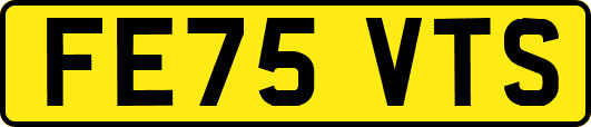 FE75VTS