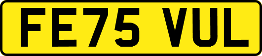 FE75VUL