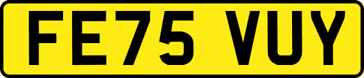 FE75VUY