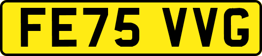 FE75VVG