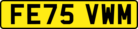 FE75VWM