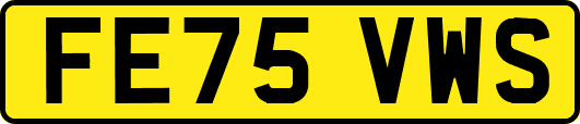 FE75VWS