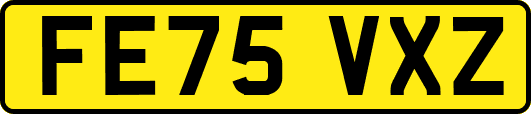 FE75VXZ