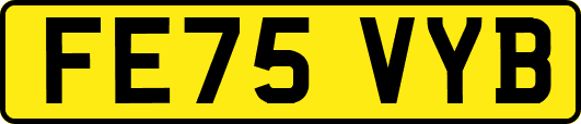 FE75VYB