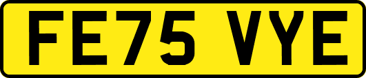 FE75VYE
