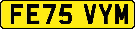 FE75VYM