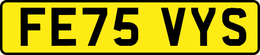 FE75VYS