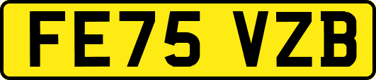 FE75VZB