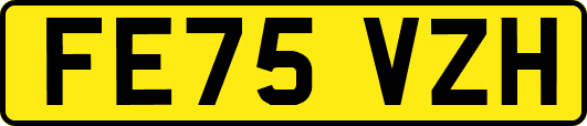 FE75VZH
