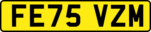 FE75VZM