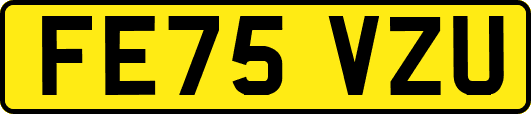 FE75VZU