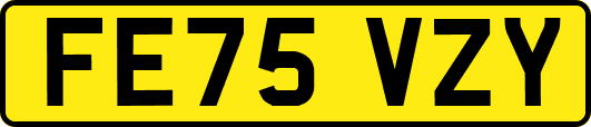 FE75VZY