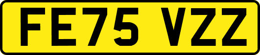 FE75VZZ