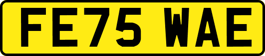 FE75WAE