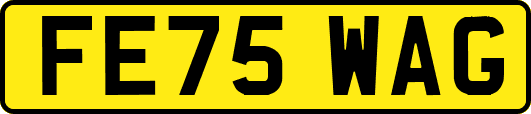 FE75WAG