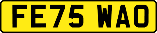 FE75WAO