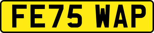 FE75WAP
