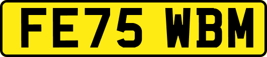 FE75WBM