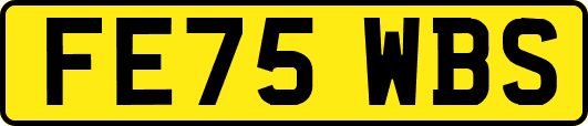 FE75WBS