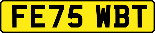 FE75WBT