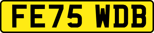 FE75WDB