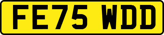 FE75WDD