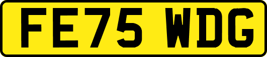 FE75WDG