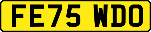 FE75WDO