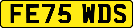 FE75WDS
