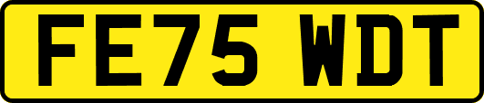 FE75WDT