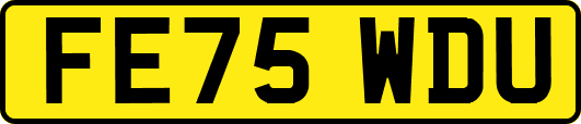 FE75WDU