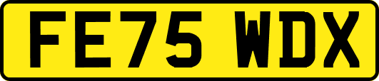 FE75WDX
