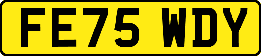 FE75WDY
