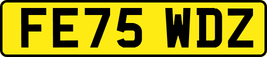 FE75WDZ