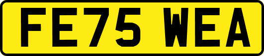 FE75WEA