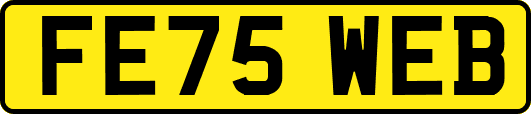 FE75WEB