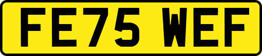 FE75WEF