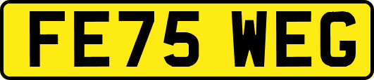 FE75WEG