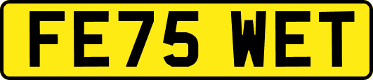 FE75WET