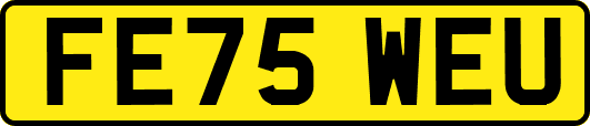 FE75WEU