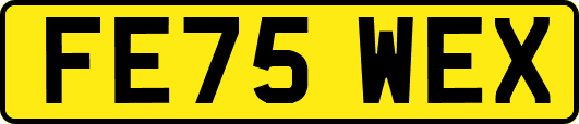 FE75WEX