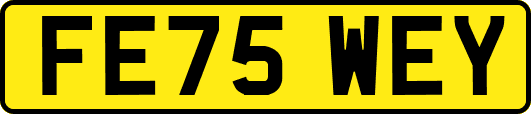 FE75WEY