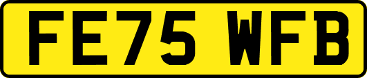 FE75WFB