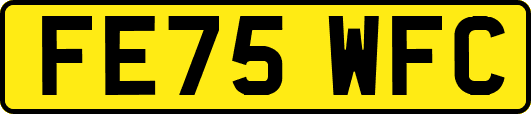 FE75WFC
