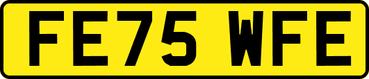 FE75WFE